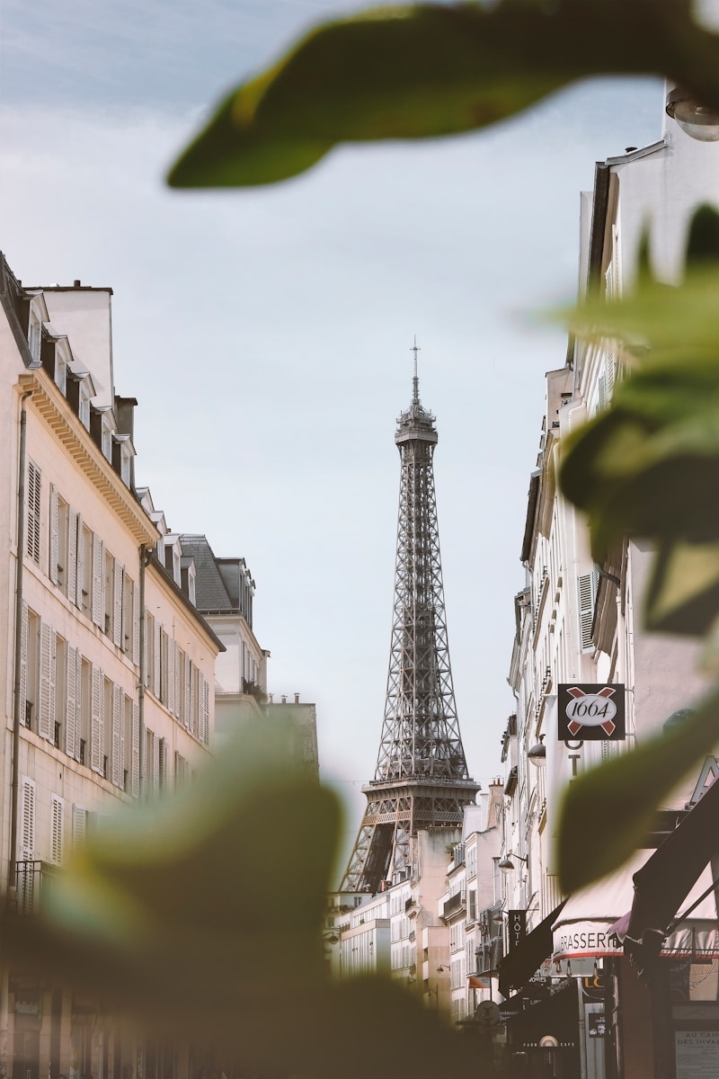 the eiffel tower towering over the city of paris